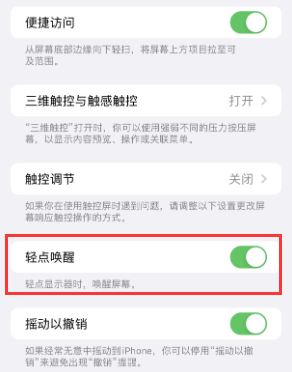 沂水苹果授权维修站分享iPhone轻点无法唤醒怎么办 