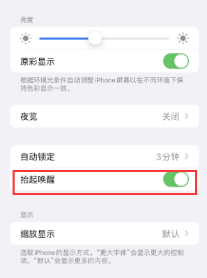 沂水苹果授权维修站分享iPhone轻点无法唤醒怎么办