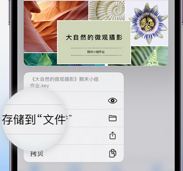 沂水apple维修中心分享iPhone文件应用中存储和找到下载文件