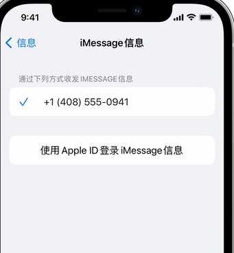 沂水apple维修iPhone上无法正常发送iMessage信息