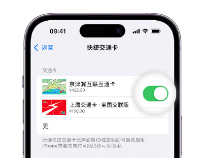 沂水apple维修点分享iPhone上更换Apple Pay快捷交通卡手绘卡面 