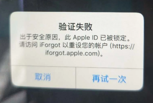 沂水iPhone维修分享iPhone上正常登录或使用AppleID怎么办 