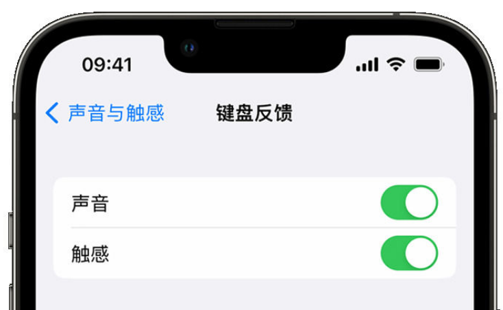 沂水苹果手机维修分享iPhone 14触感键盘使用方法 