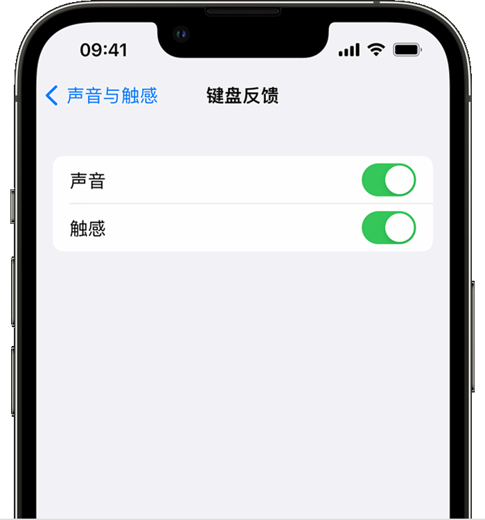 沂水苹果14维修店分享如何在 iPhone 14 机型中使用触感键盘 