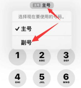 沂水苹果14维修店分享iPhone 14 Pro Max使用副卡打电话的方法 