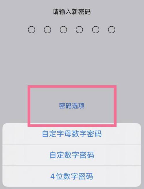 沂水苹果14维修分享iPhone 14plus设置密码的方法 