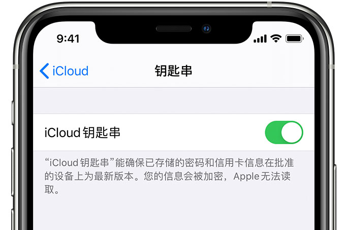 沂水苹果手机维修分享在 iPhone 上开启 iCloud 钥匙串之后会储存哪些信息 